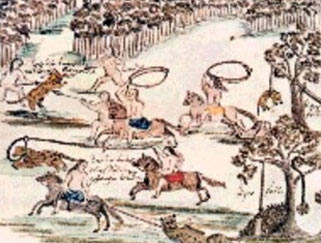 Base de datos Fotográfica Florián Paucke