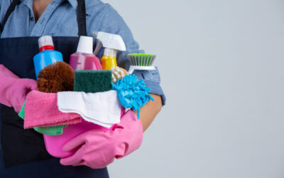 Auxiliar de limpieza y mantenimiento