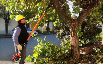 PLANEAMIENTO, EJECUCIÓN Y MANTENIMIENTO DE ÁREAS VERDES Y JARDINES