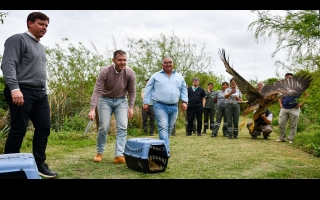 Biodiversidad: Provincia ya realizó 1.400 rescates de animales