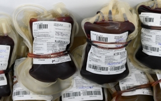 Salud: Santa Fe registró 6.330 donantes de sangre durante 2024